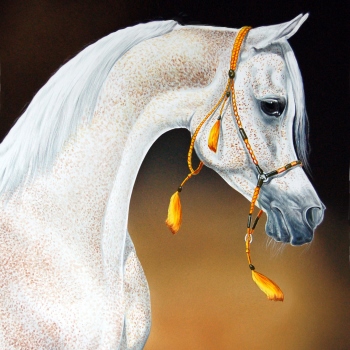 mauro malacarne equine artist